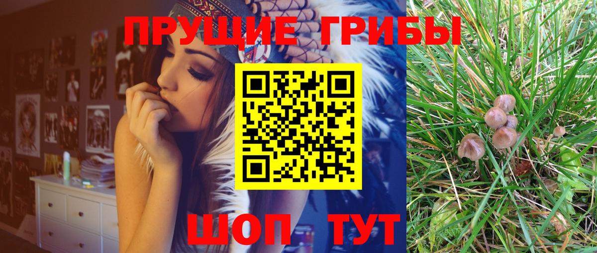 Галлюциногенные грибы Psilocybe Гагарин