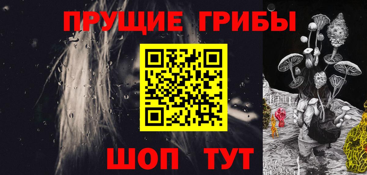 Псилоцибиновые грибы MAGIC MUSHROOMS  Вход с VPN  Гагарин  Галлюциногенные грибы Cubensis 